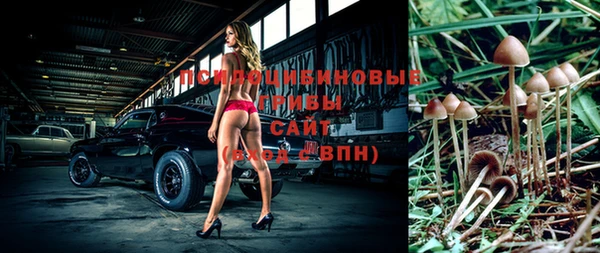ешки Нея