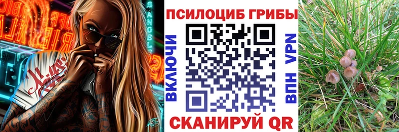 наркошоп  blacksprut ССЫЛКА  Псилоцибиновые грибы Psilocybine cubensis  Полтавская 